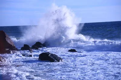 DSC_0597 (Large).JPG